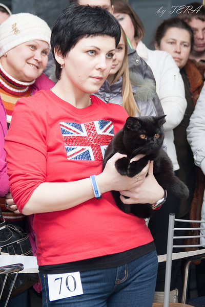 click for enlarge 1476 X 2214 458.8 Kb picture