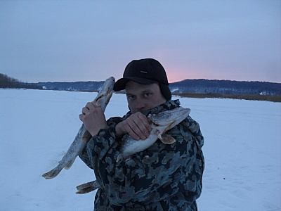 click for enlarge 800 X 600 251.9 Kb picture