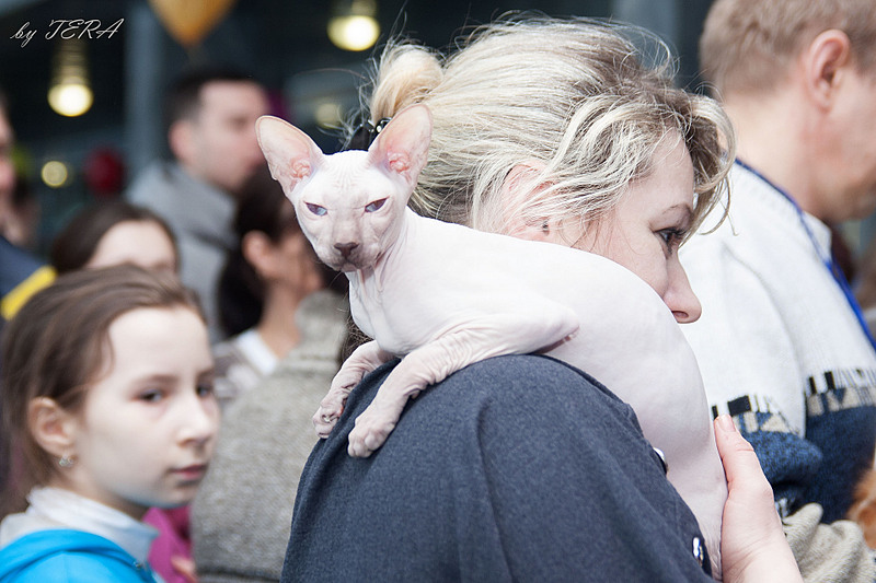 click for enlarge 1920 X 1280 567.2 Kb picture