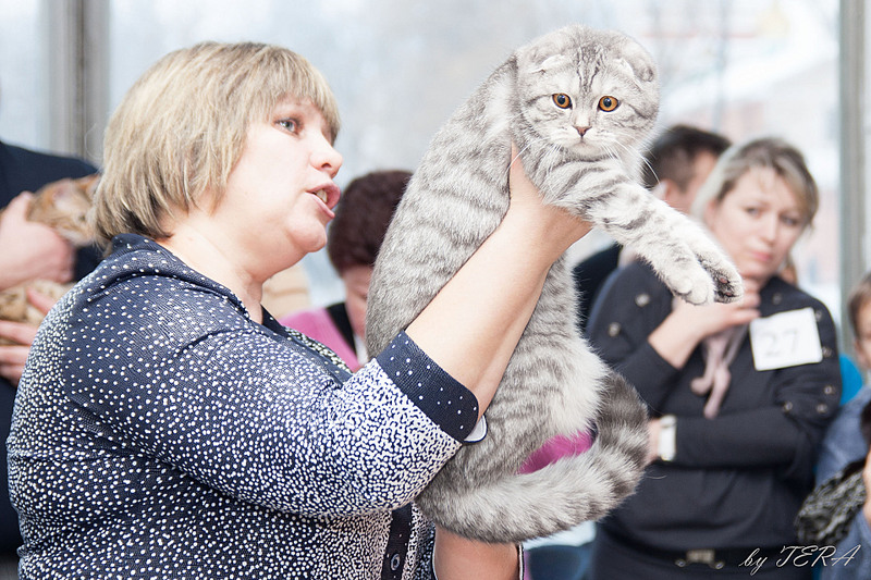 click for enlarge 1920 X 1280 801.9 Kb picture