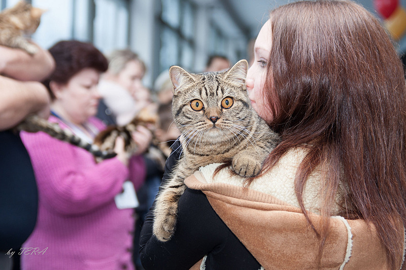 click for enlarge 1920 X 1280 702.5 Kb picture