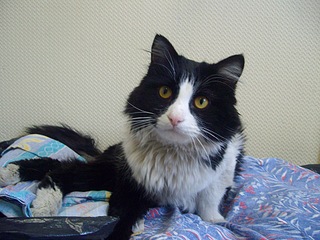 click for enlarge 1920 X 1440 708.9 Kb picture