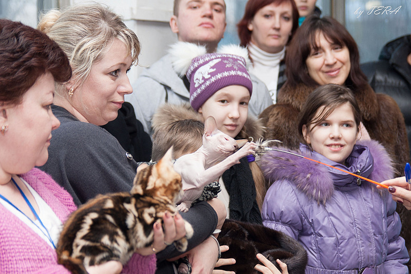 click for enlarge 1920 X 1280 643.0 Kb picture