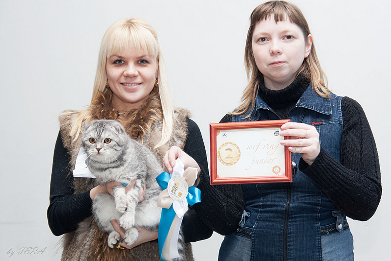 click for enlarge 1920 X 1280 525.8 Kb picture