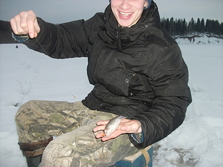 click for enlarge 1920 X 1440 693.3 Kb picture