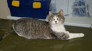 click for enlarge 1920 X 1076 548.1 Kb picture