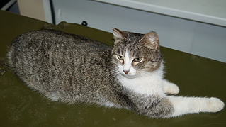 click for enlarge 1920 X 1076 692.7 Kb picture