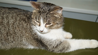 click for enlarge 1920 X 1076 661.5 Kb picture