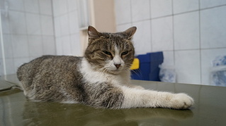 click for enlarge 1920 X 1076 432.8 Kb picture