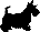 36 x 29