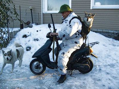 click for enlarge 500 X 375  45.5 Kb picture
