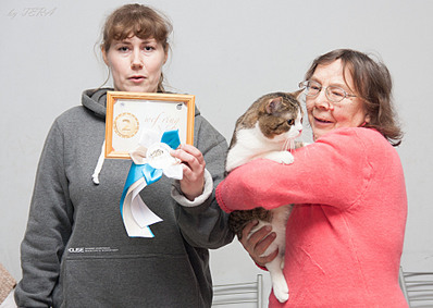 click for enlarge 1920 X 1362 582.8 Kb picture