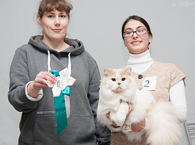 click for enlarge 1920 X 1423 530.8 Kb picture