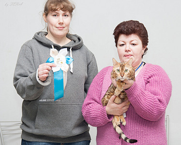 click for enlarge 1920 X 1538 774.0 Kb picture