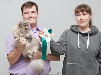 click for enlarge 1920 X 1433 510.5 Kb picture