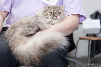 click for enlarge 1920 X 1279 558.0 Kb picture