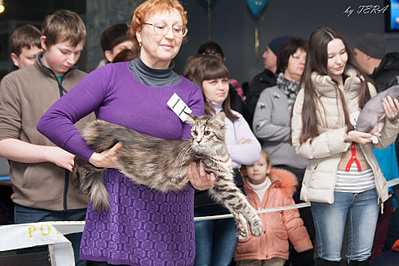 click for enlarge 1920 X 1280 680.7 Kb picture