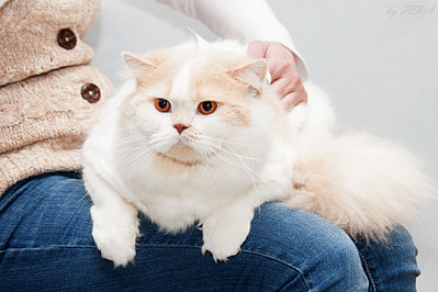 click for enlarge 1920 X 1279 607.2 Kb picture