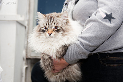 click for enlarge 1920 X 1280 560.5 Kb picture