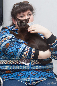 click for enlarge 1130 X 1696 405.7 Kb picture