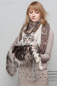 click for enlarge 1289 X 1933 405.5 Kb picture