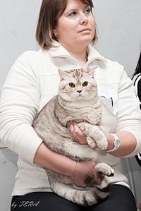 click for enlarge 1642 X 2462 455.0 Kb picture