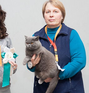 click for enlarge 1920 X 2020 848.4 Kb picture