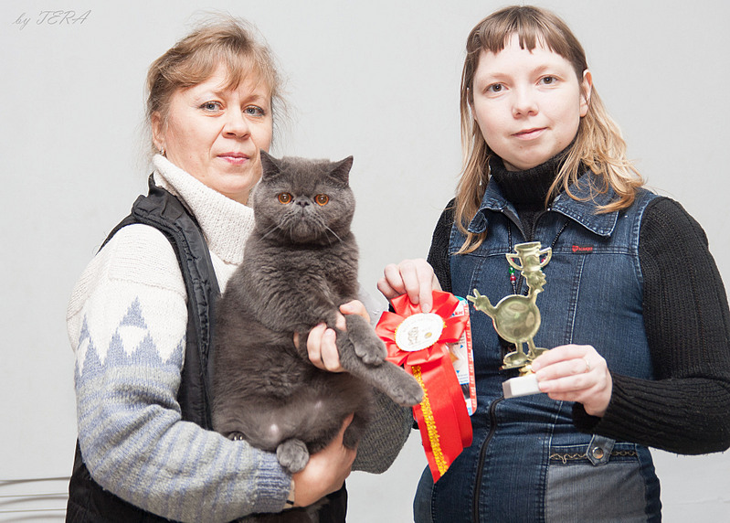 click for enlarge 1920 X 1373 642.5 Kb picture