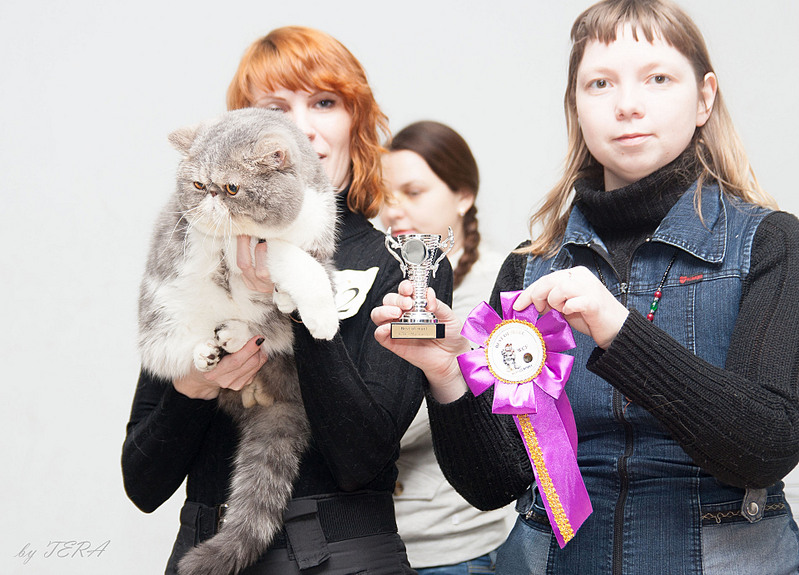 click for enlarge 1920 X 1381 646.1 Kb picture