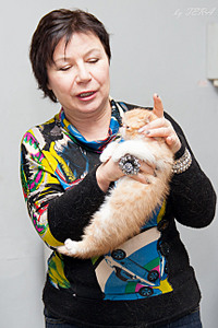 click for enlarge 1728 X 2592 626.1 Kb picture