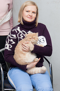 click for enlarge 1238 X 1858 348.7 Kb picture