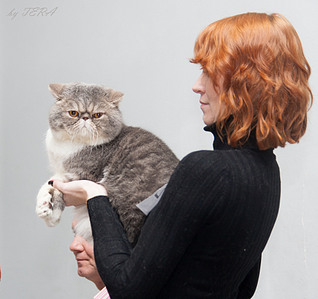 click for enlarge 1920 X 1807 601.3 Kb picture