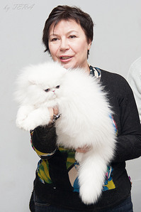 click for enlarge 1501 X 2252 379.6 Kb picture