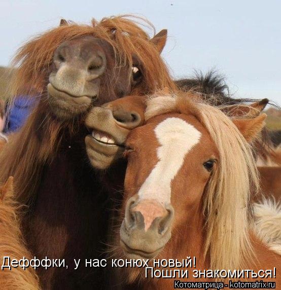 554 x 572