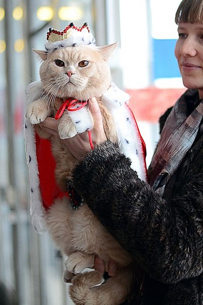 click for enlarge 403 X 604 51.2 Kb picture