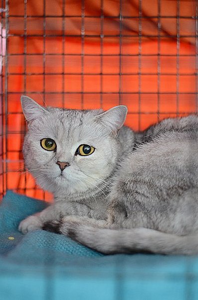 click for enlarge 400 X 604 47.3 Kb picture