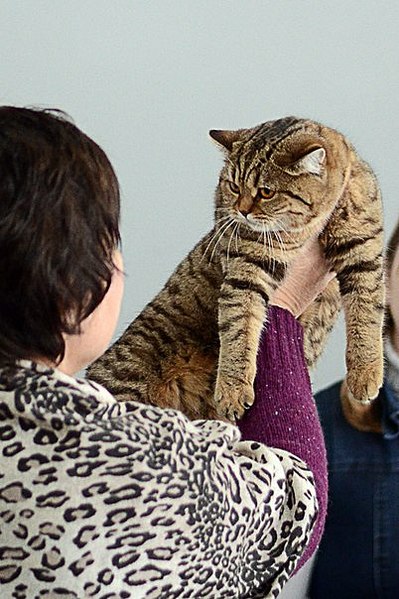 click for enlarge 402 X 604 64.8 Kb picture