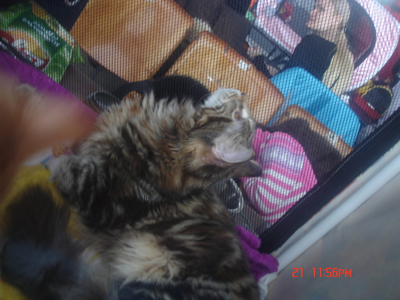 click for enlarge 1920 X 1440 178.4 Kb picture