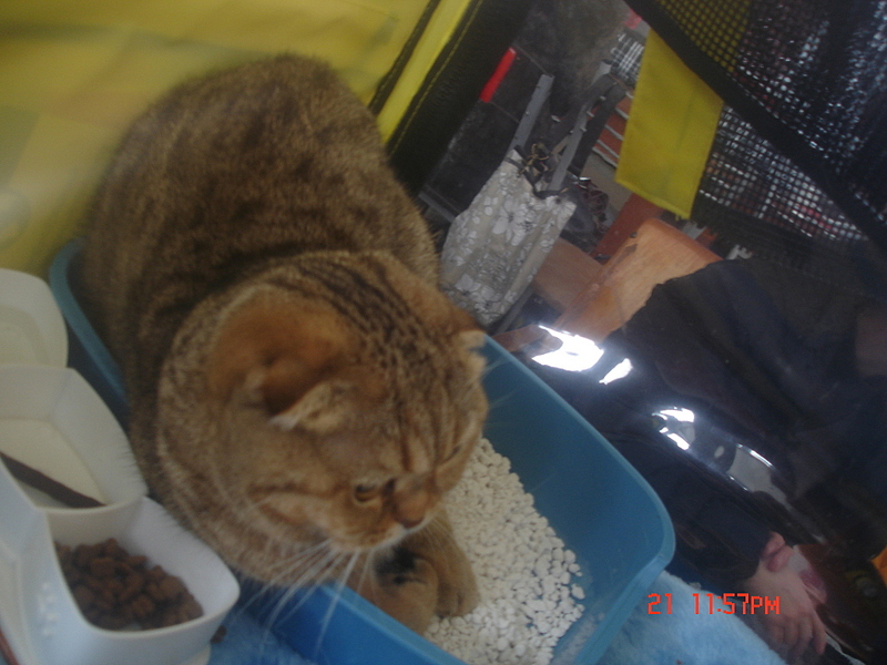 click for enlarge 1920 X 1440 112.7 Kb picture