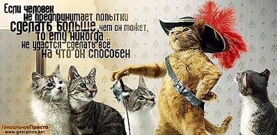 click for enlarge 490 X 240 45.1 Kb picture