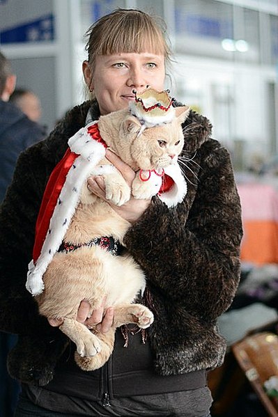 click for enlarge 402 X 604  56.8 Kb picture