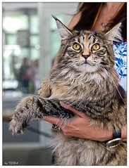 click for enlarge 635 X 831 158.5 Kb picture