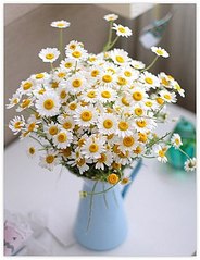 click for enlarge 320 X 416 32.3 Kb picture