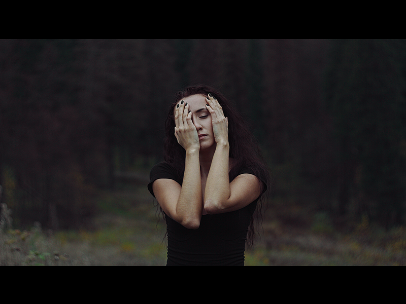 click for enlarge 1024 X 768 730.5 Kb picture