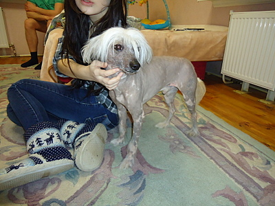 click for enlarge 1920 X 1440 231.7 Kb picture