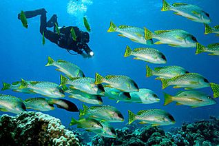 click for enlarge 640 X 425 58.1 Kb picture