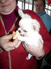 click for enlarge 600 X 800 180.1 Kb picture