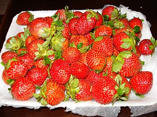click for enlarge 800 X 600 208.4 Kb picture
