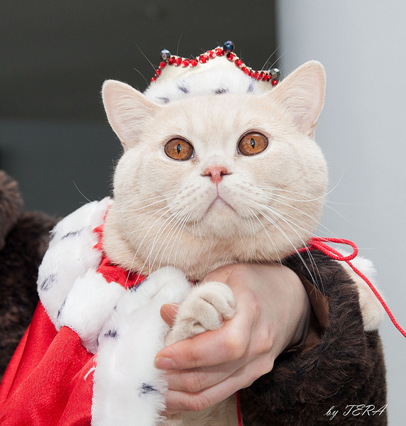 click for enlarge 1920 X 2013 896.9 Kb picture