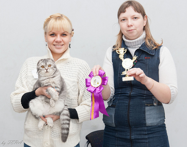 click for enlarge 1920 X 1506 642.2 Kb picture